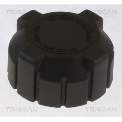 Dangtelis, radiatorius TRISCAN 8610 20