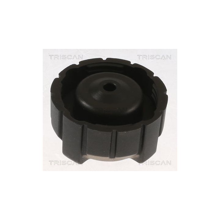 Dangtelis, radiatorius TRISCAN 8610 20