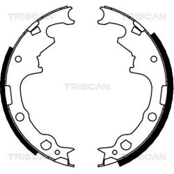 Stabdžių trinkelių komplektas TRISCAN 8100 10001
