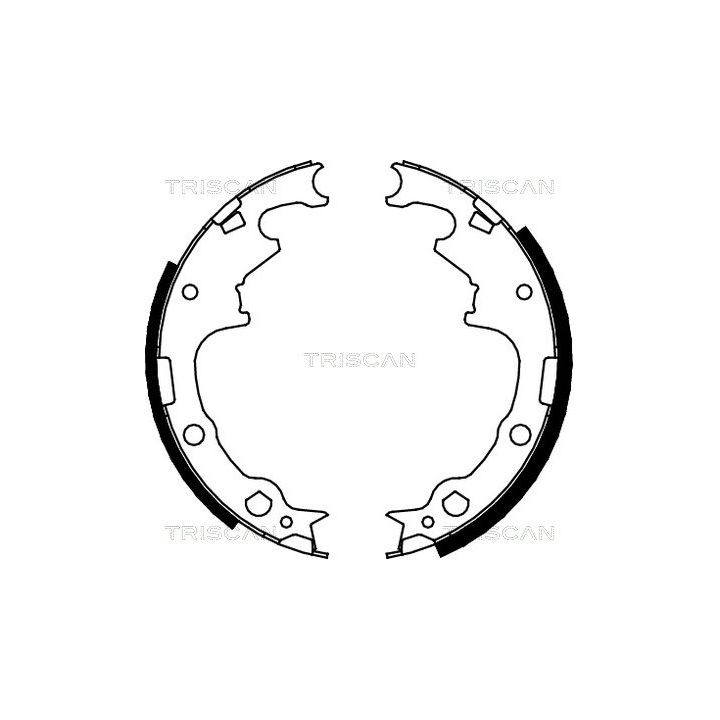 Stabdžių trinkelių komplektas TRISCAN 8100 10001