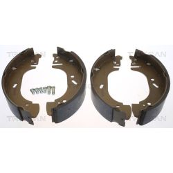 Stabdžių trinkelių komplektas TRISCAN 8100 10002