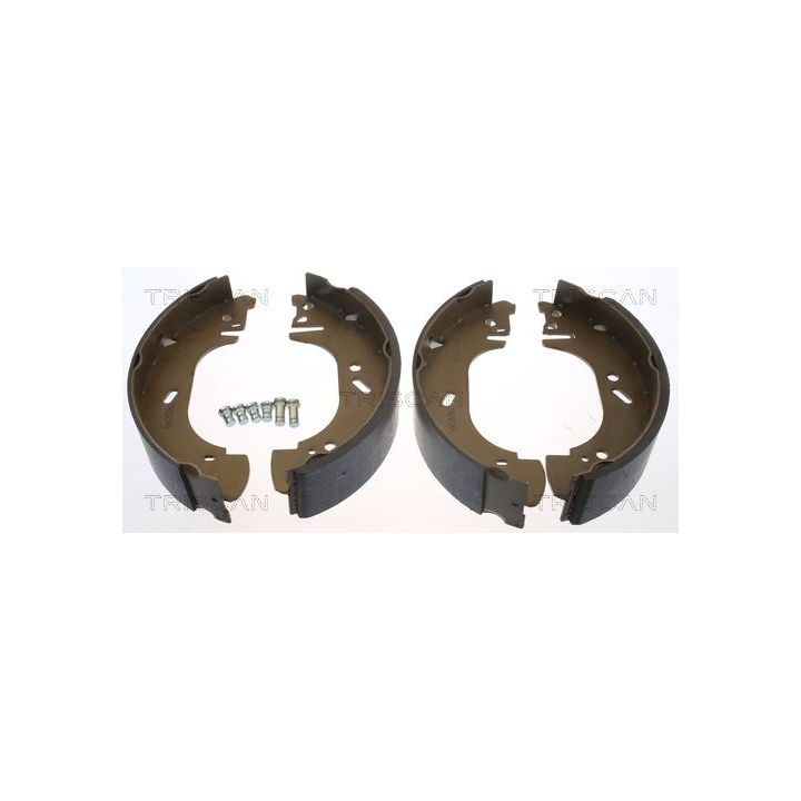 Stabdžių trinkelių komplektas TRISCAN 8100 10002