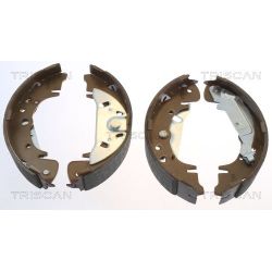 Stabdžių trinkelių komplektas TRISCAN 8100 10003