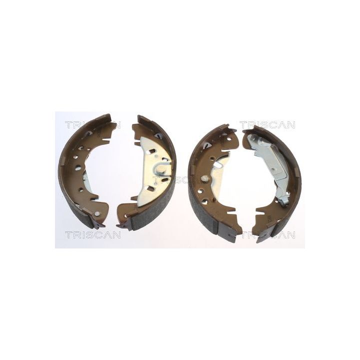 Stabdžių trinkelių komplektas TRISCAN 8100 10003