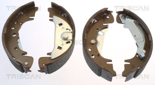 Stabdžių trinkelių komplektas TRISCAN 8100 10003