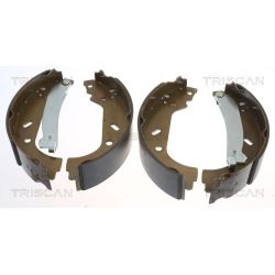 Stabdžių trinkelių komplektas TRISCAN 8100 10004