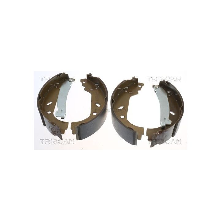 Stabdžių trinkelių komplektas TRISCAN 8100 10004