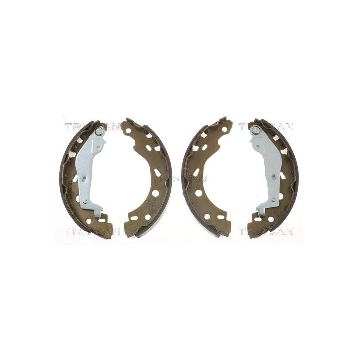 Stabdžių trinkelių komplektas TRISCAN 8100 10005