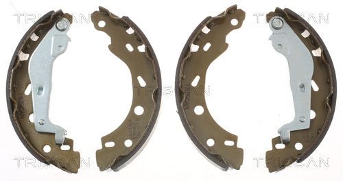 Stabdžių trinkelių komplektas TRISCAN 8100 10005