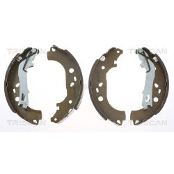 Stabdžių trinkelių komplektas TRISCAN 8100 10007