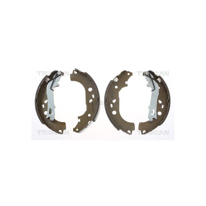 Stabdžių trinkelių komplektas TRISCAN 8100 10007