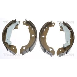 Stabdžių trinkelių komplektas TRISCAN 8100 10008