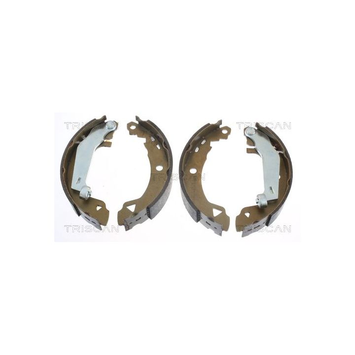 Stabdžių trinkelių komplektas TRISCAN 8100 10008