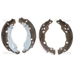 Stabdžių trinkelių komplektas TRISCAN 8100 10009