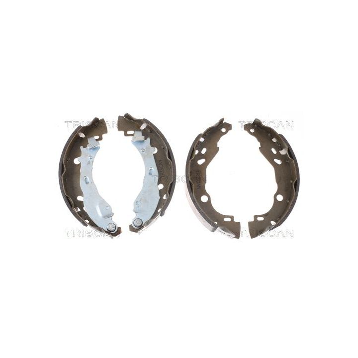 Stabdžių trinkelių komplektas TRISCAN 8100 10009