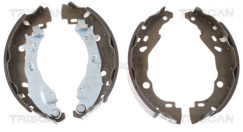 Stabdžių trinkelių komplektas TRISCAN 8100 10009