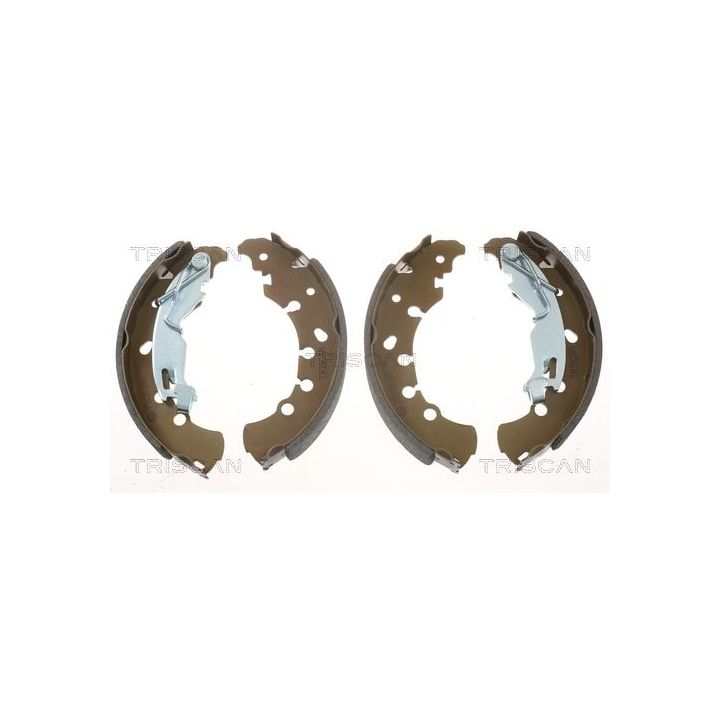 Stabdžių trinkelių komplektas TRISCAN 8100 10011