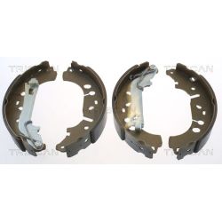 Stabdžių trinkelių komplektas TRISCAN 8100 10012