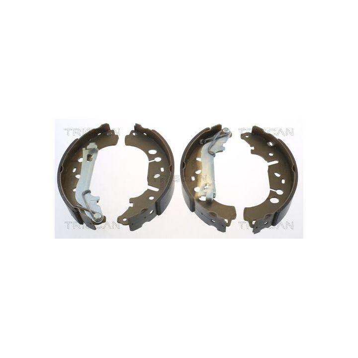 Stabdžių trinkelių komplektas TRISCAN 8100 10012