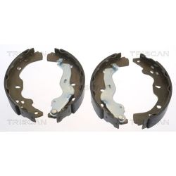 Stabdžių trinkelių komplektas TRISCAN 8100 10013