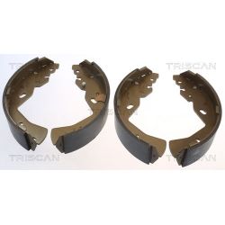 Stabdžių trinkelių komplektas TRISCAN 8100 10018