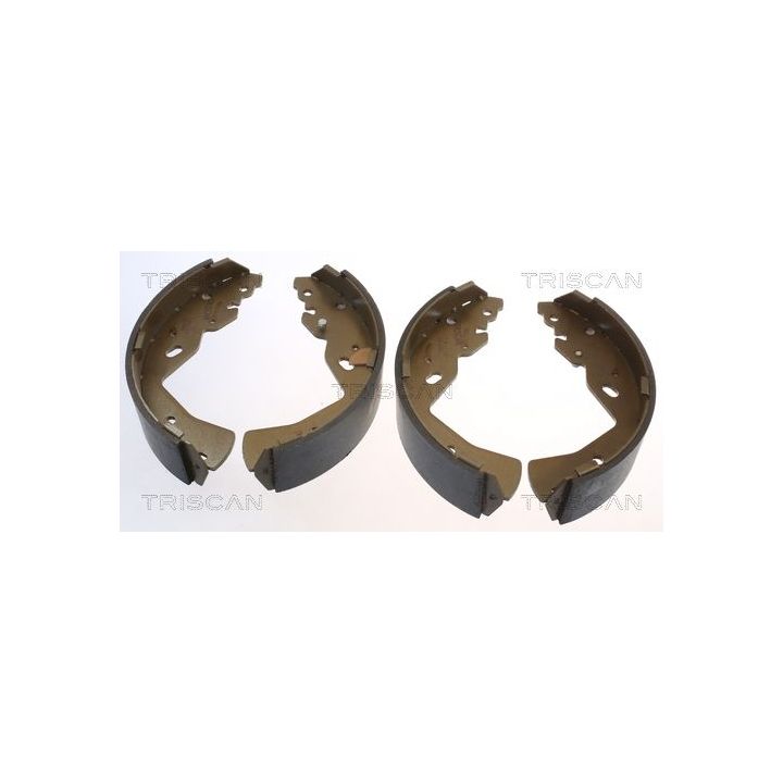 Stabdžių trinkelių komplektas TRISCAN 8100 10018