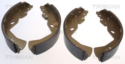 Stabdžių trinkelių komplektas TRISCAN 8100 10018