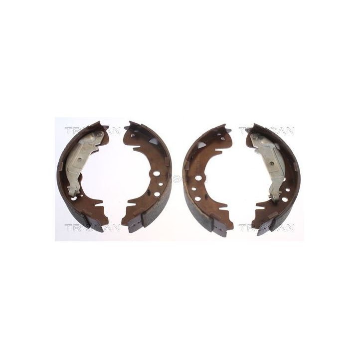 Stabdžių trinkelių komplektas TRISCAN 8100 10019