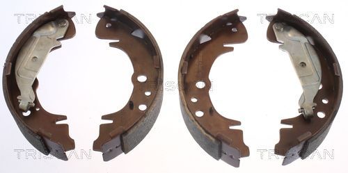 Stabdžių trinkelių komplektas TRISCAN 8100 10019