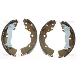 Stabdžių trinkelių komplektas TRISCAN 8100 10020