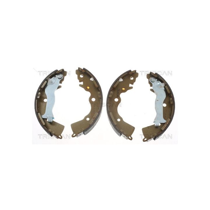 Stabdžių trinkelių komplektas TRISCAN 8100 10020