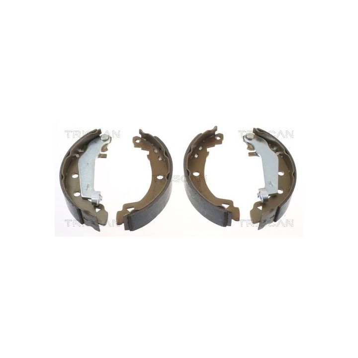 Stabdžių trinkelių komplektas TRISCAN 8100 10021