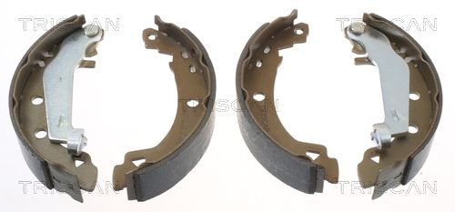 Stabdžių trinkelių komplektas TRISCAN 8100 10021