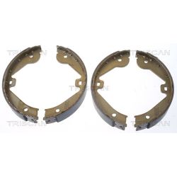 Stabdžių trinkelių komplektas, stovėjimo stabdis TRISCAN 8100 10022