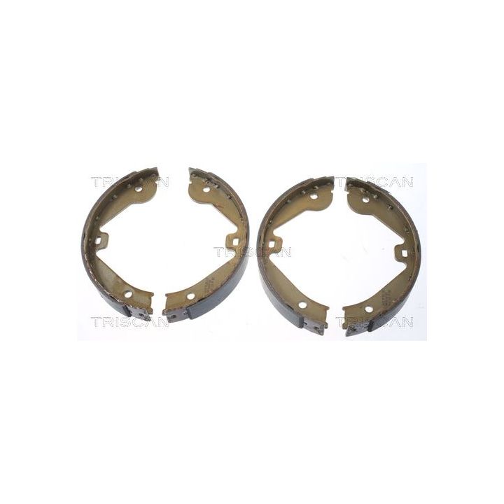 Stabdžių trinkelių komplektas, stovėjimo stabdis TRISCAN 8100 10022