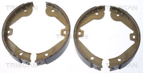 Stabdžių trinkelių komplektas, stovėjimo stabdis TRISCAN 8100 10022