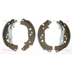 Stabdžių trinkelių komplektas TRISCAN 8100 10028