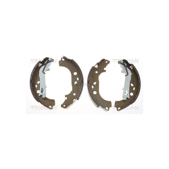 Stabdžių trinkelių komplektas TRISCAN 8100 10028