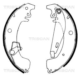 Stabdžių trinkelių komplektas TRISCAN 8100 10031
