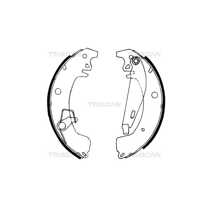 Stabdžių trinkelių komplektas TRISCAN 8100 10031