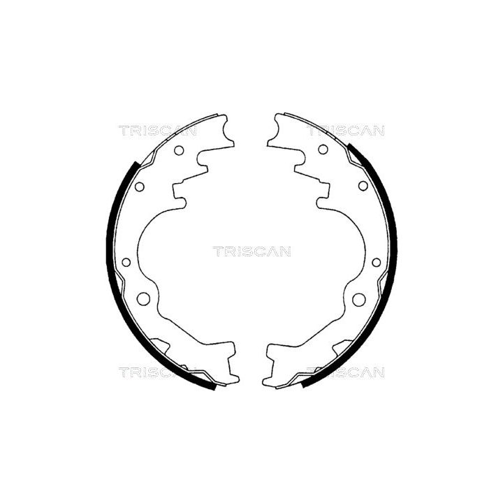 Stabdžių trinkelių komplektas TRISCAN 8100 10035