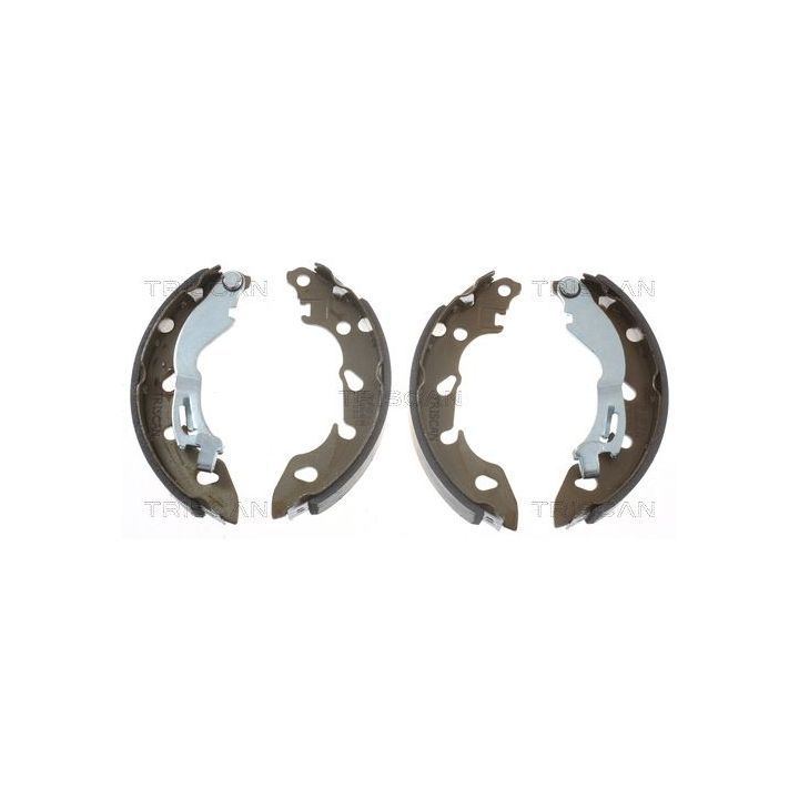 Stabdžių trinkelių komplektas TRISCAN 8100 10038