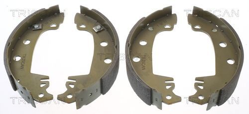 Stabdžių trinkelių komplektas, stovėjimo stabdis TRISCAN 8100 10230