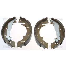 Stabdžių trinkelių komplektas TRISCAN 8100 10307