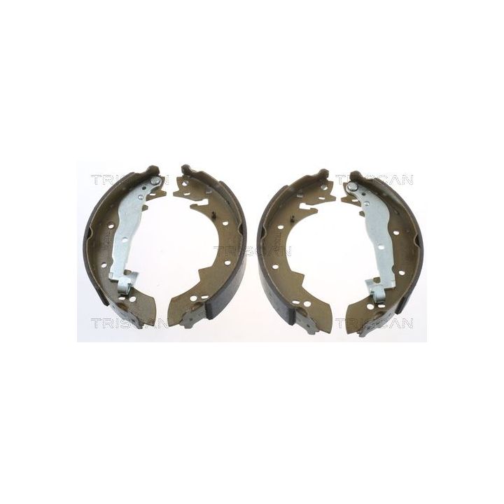 Stabdžių trinkelių komplektas TRISCAN 8100 10307