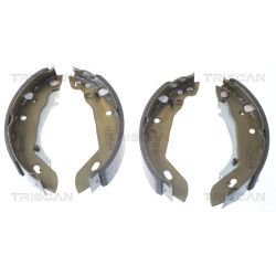 Stabdžių trinkelių komplektas TRISCAN 8100 10389