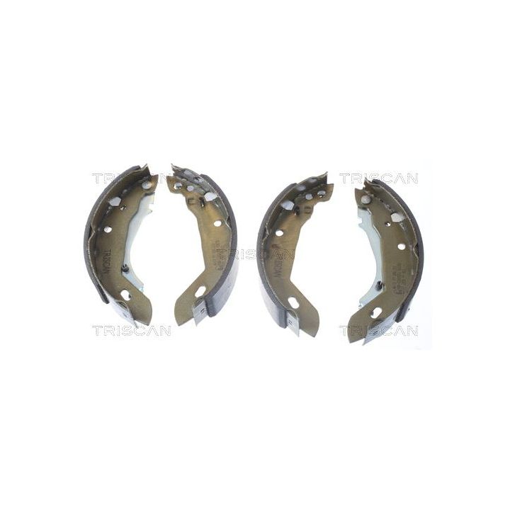 Stabdžių trinkelių komplektas TRISCAN 8100 10389