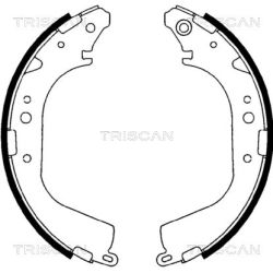 Stabdžių trinkelių komplektas TRISCAN 8100 10425