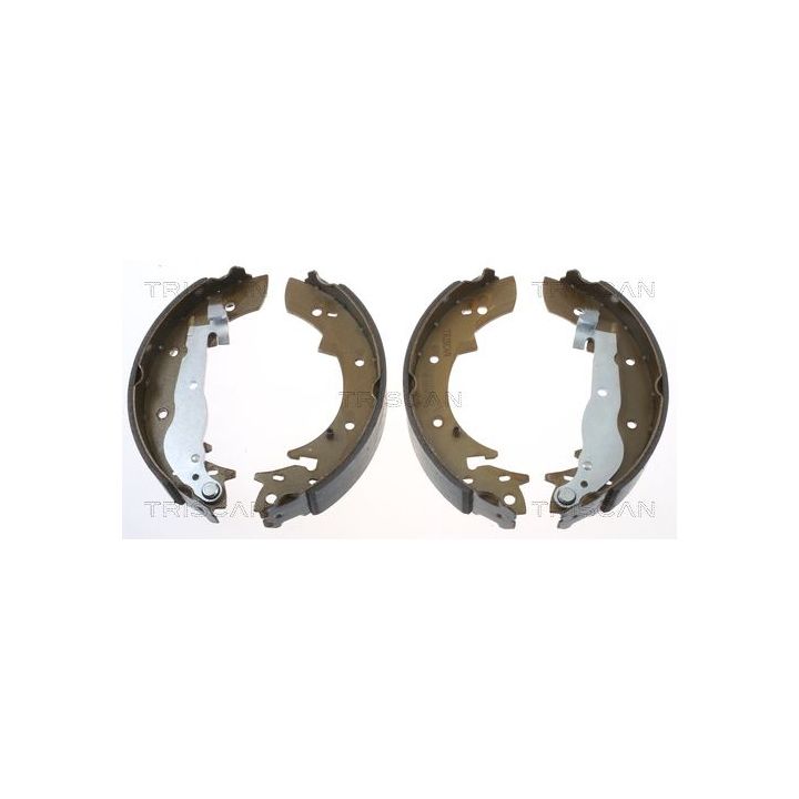 Stabdžių trinkelių komplektas TRISCAN 8100 10447