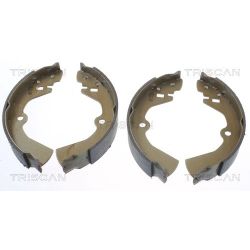 Stabdžių trinkelių komplektas, stovėjimo stabdis TRISCAN 8100 10464